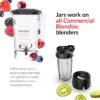 Blendtec Connoisseur 825 Countertop Blender Review Powerful Quiet Performance Insights