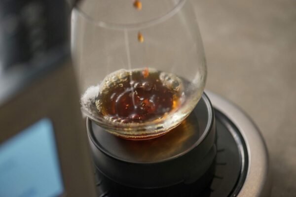 Breville Precision Brewer Drip Coffee Maker Review Perfect Brew with Customizable Modes Breville Precision Brewer Drip Coffee Maker Review Perfect Brew with Customizable Modes