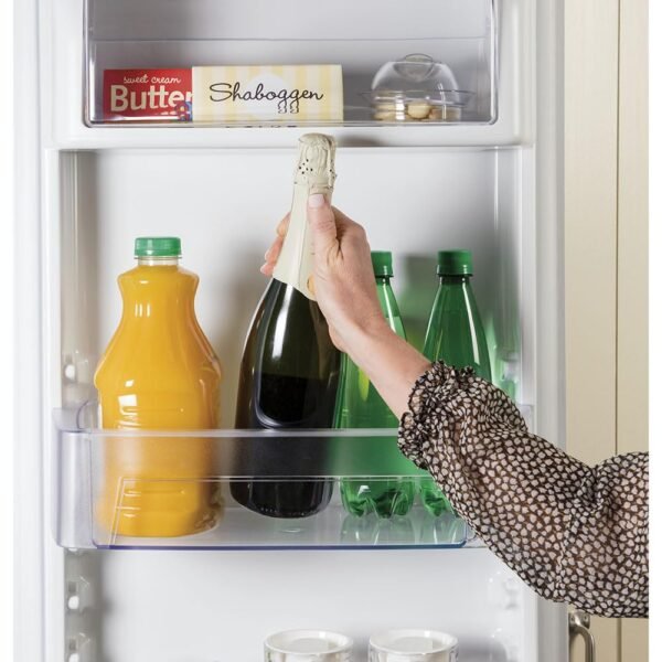 Compact Side By Side Refrigerator GE GZS22IYNFS Review Highlights and User Impressions