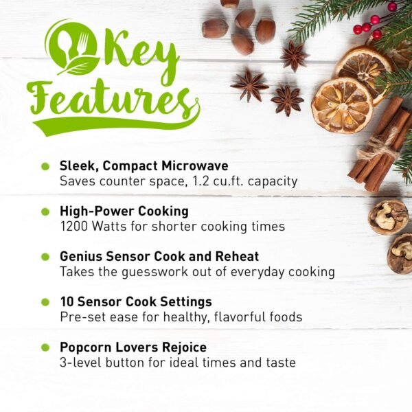 Panasonic NN-SN686S Countertop Microwave Review with Inverter Technology Benefits Explored